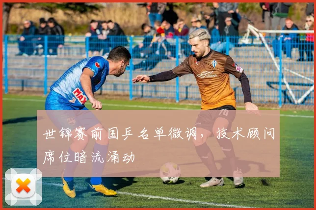 世锦赛前国乒名单微调，技术顾问席位暗流涌动