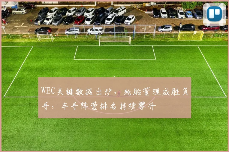 WEC关键数据出炉，轮胎管理成胜负手，车手阵营排名持续攀升